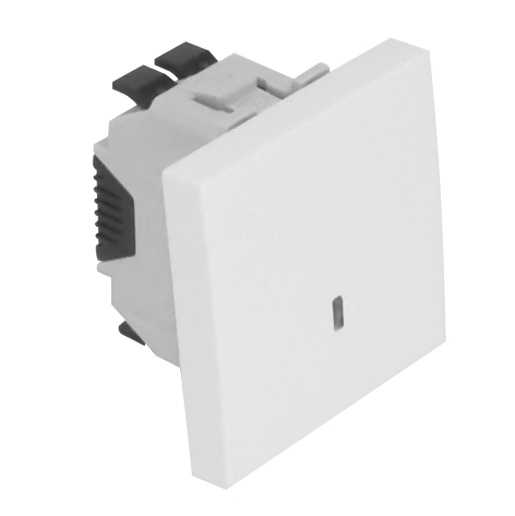 Poussoir à Bascule Lumineux - 12V - 2 Modules