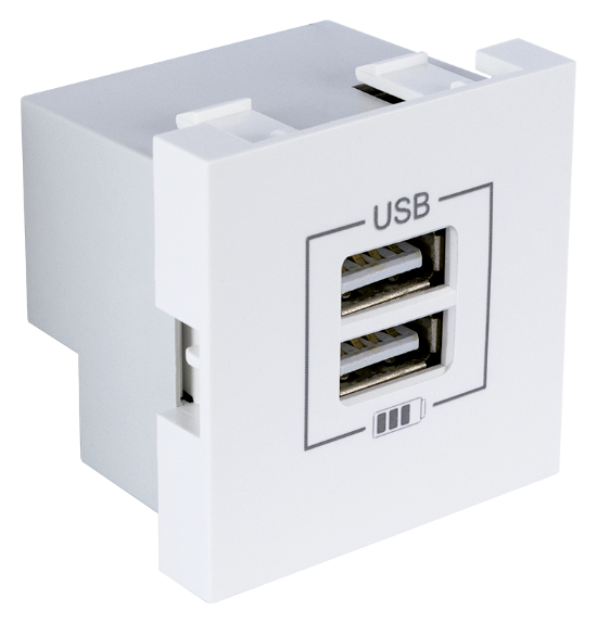Double USB Charger Type A - 2 Modules