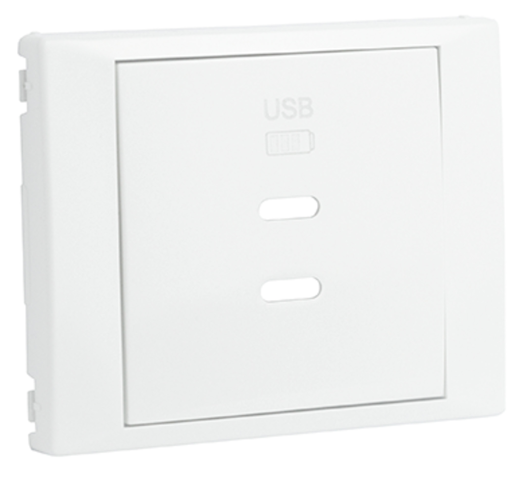 Enjoliveur pour Chargeur Double USB Type C