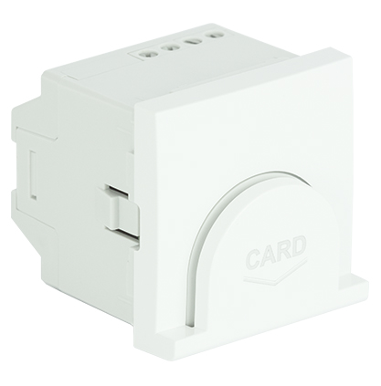 Interrupteur Card-System Temporisé - 2 modules