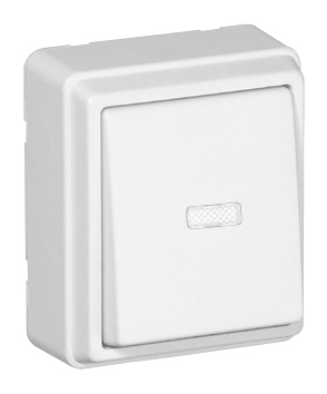 Single Pole Switch with Pilot Lamp