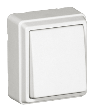 Intermediate Switch