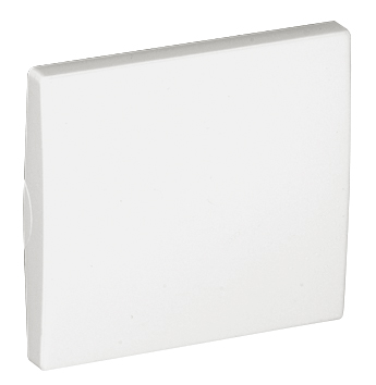 Rocker for Switches